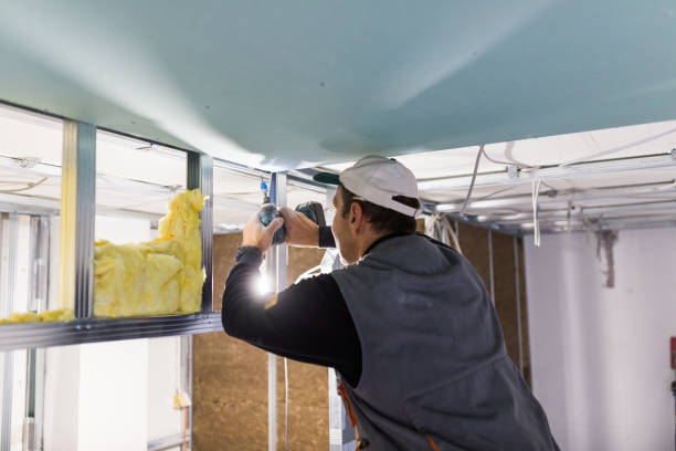 Best Cellulose Insulation  in Clearlake, CA