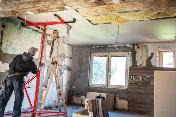 Best Insulation Contractors for Homes  in Clearlake, CA