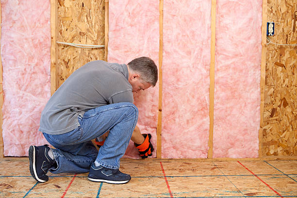 Best Insulation Repair Services  in Clearlake, CA