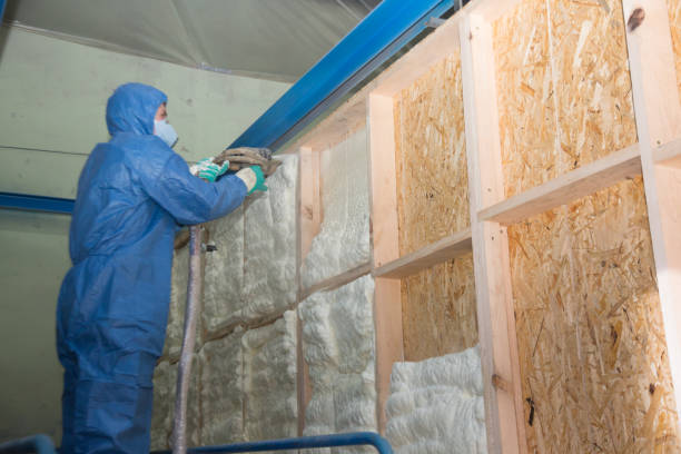 Best Best Insulation Companies  in Clearlake, CA