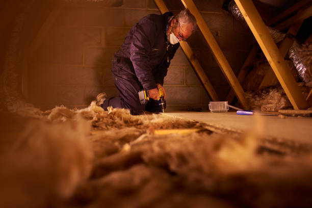 Insulation Repair Services in Clearlake, CA